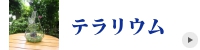ステンドグラス　テラリウム