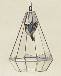 シジュウカラのテラリウム