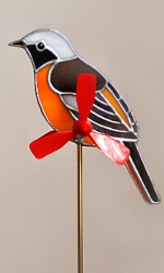 ジョウビタキのガーデンピック