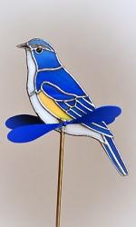 ルリビタキのガーデンピック