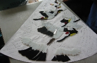 ガラスのパーツを揃える