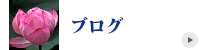 花鳥輪舞 ブログ